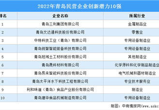 2022年青岛民营创新潜力10强企业（附榜单）