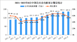 2022年9月中国电动汽车充电桩市场分析：特来电运营充电桩数量最多（图）