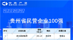 2022贵州民营企业100强排行榜（附全榜单）