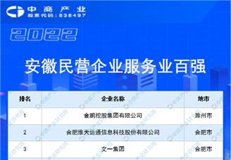 2022安徽省民营企业服务业百强排行榜（附榜单）