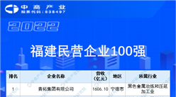 2022福建省民營企業100強榜單（附全榜單）