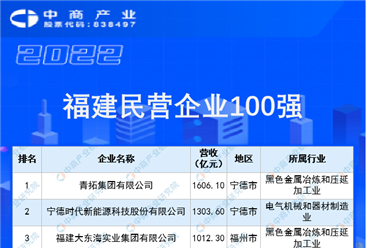2022福建省民营企业100强榜单（附全榜单）