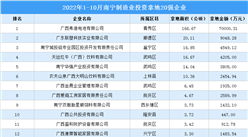 产业招商情报：2022年1-10月南宁制造业投资拿地20强企业
