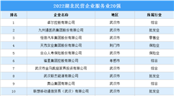 2022湖北民營企業服務業20強榜單（附榜單）
