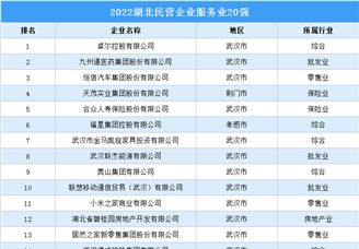 2022湖北民营企业服务业20强榜单（附榜单）