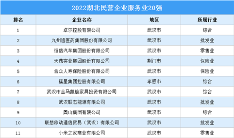 2022湖北民营企业服务业20强榜单（附榜单）