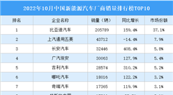2022年10月中國新能源汽車廠商銷量排行榜TOP10（附榜單）