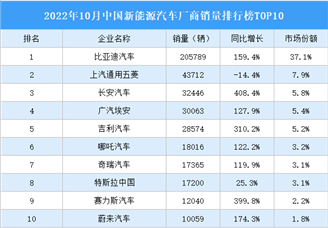 2022年10月中国新能源汽车厂商销量排行榜TOP10（附榜单）