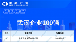 2022武汉企业100强榜单（附榜单）