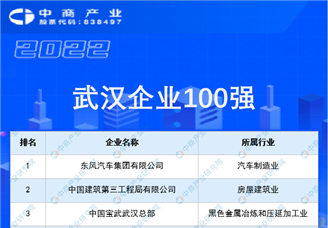 2022武汉企业100强榜单（附榜单）