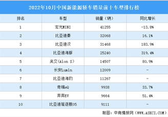 2022年10月中国新能源轿车销量前十车型排行榜（附榜单）