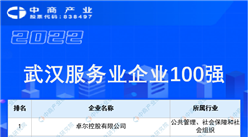 2022武汉服务业企业100强榜单（附榜单）