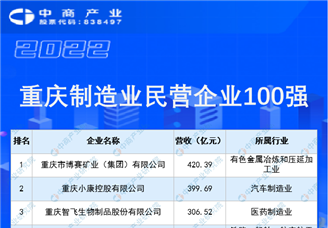 2022重庆制造业民营企业100强榜单（附榜单）