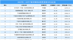 產業招商情報：2022年1-10月寧波市制造業投資拿地TOP50企業