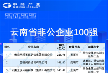 2022云南省非公企业100强榜单（附全榜单）