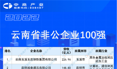 2022云南省非公企业100强榜单（附全榜单）