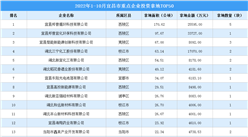 产业投资情报：2022年1-10月宜昌市重点企业投资拿地TOP50