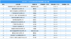 產業投資情報：2022年1-10月桂林投資拿地規模企業50強