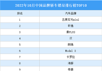2022年10月中国品牌轿车销量排行榜TOP10（附榜单）