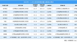 產業招商情報：2022年1-11月江蘇省招商來源10強重點項目