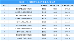 產業招商情報：2022年1-11月惠州市制造業投資拿地企業50強