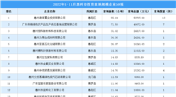 产业投资情报：2022年1-11月惠州市投资拿地规模企业50强