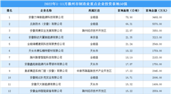 產業招商情報：2022年1-11月滁州市制造業重點企業投資拿地50強