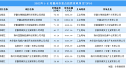 产业招商情报：2022年1-11月滁州市重点投资拿地项目TOP10