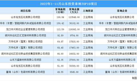 产业招商情报：2022年1-11月山东投资拿地TOP10项目