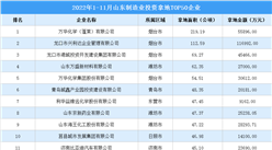 产业招商情报：2022年1-11月山东制造业投资拿地TOP50企业