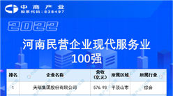 2022河南民營企業現代服務業100強榜單（附榜單）