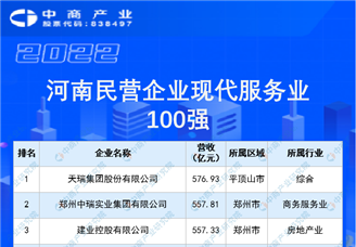 2022河南民营企业现代服务业100强榜单（附榜单）
