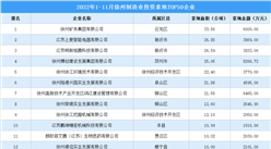 產業招商情報：2022年1-11月徐州制造業投資拿地TOP50企業