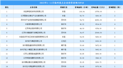 產業投資情報：2022年1-11月徐州重點企業投資拿地TOP50