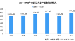 2022年全国豆类产量2351万吨 同比增长19.6%（图）