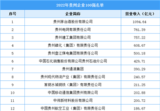 2022年贵州企业100强名单（附完整名单）