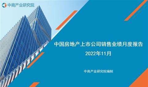 2022年1-11月中国房地产行业经济运行月度报告（完整版）