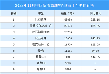 2022年11月中国新能源SUV销量前十车型排行榜（附榜单）