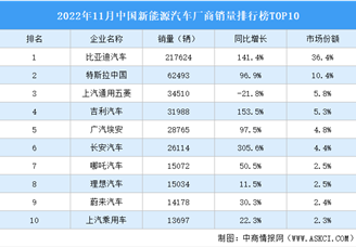 2022年11月中國新能源汽車廠商銷量排行榜TOP10（附榜單）