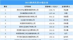 2022陕西民营50强企业排行榜（附榜单）
