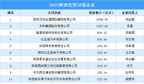 2022陕西民营50强企业排行榜（附榜单）