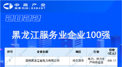 2022黑龍江服務業企業100強排行榜（附榜單）