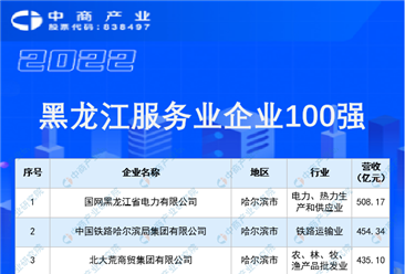 2022黑龙江服务业企业100强排行榜（附榜单）