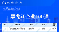 2022黑龙江企业100强排行榜（附榜单）