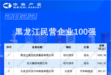 2022黑龙江民营企业100强排行榜（附榜单）