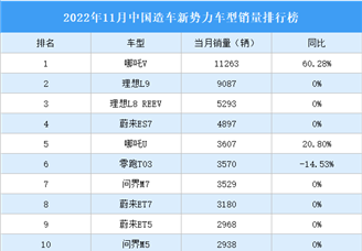 2022年11月中国造车新势力车型销量排行榜（附榜单）