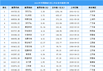2022年中国面板行业上市企业市值排行榜（附榜单）