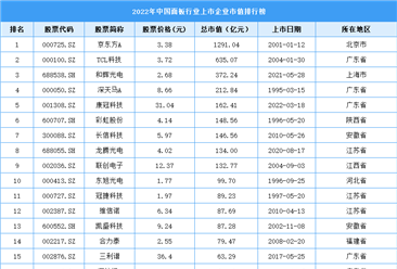 2022年中國面板行業上市企業市值排行榜（附榜單）