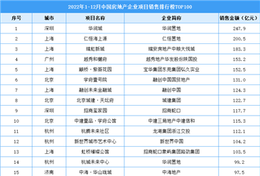2022年1-12月中国房地产企业项目销售排行榜TOP100
