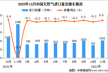 2022年11月中国天然气进口数据统计分析